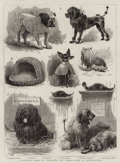 Nationale show van sport- en andere honden in Birmingham door John Charles Dollman